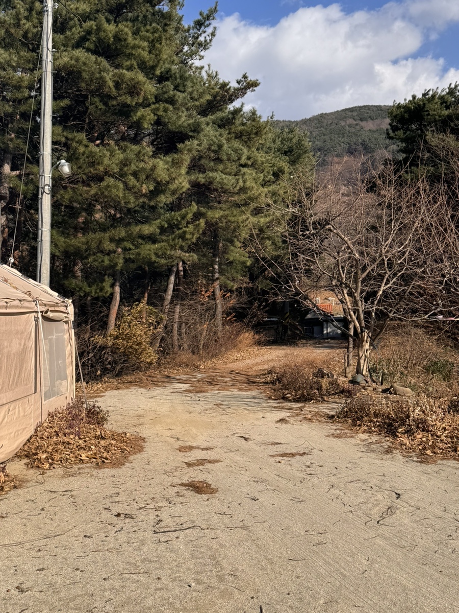 스테이외송 이미지