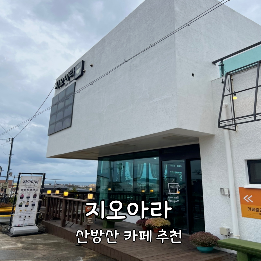 지오아라 이미지