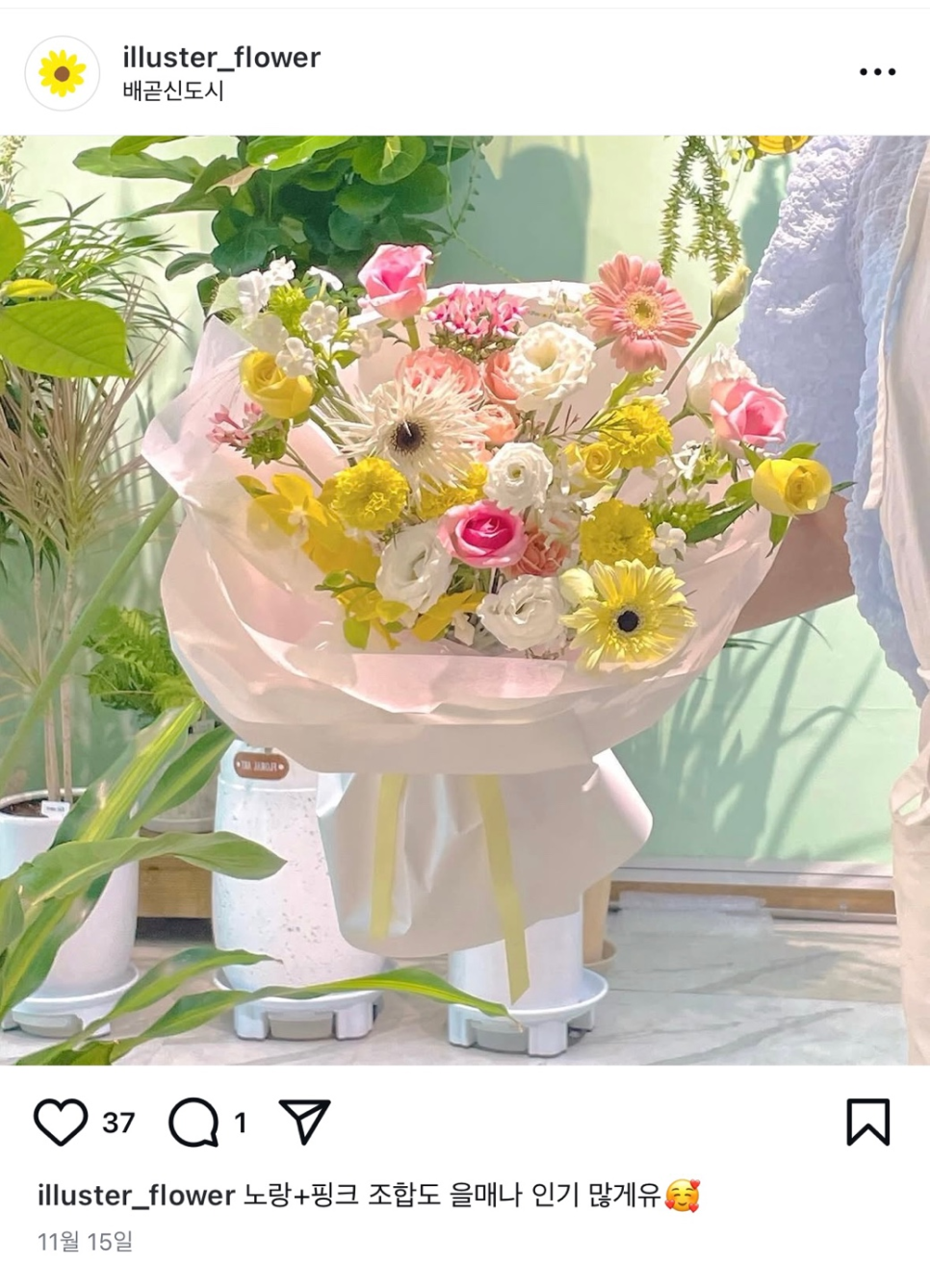 일루스터플라워 이미지