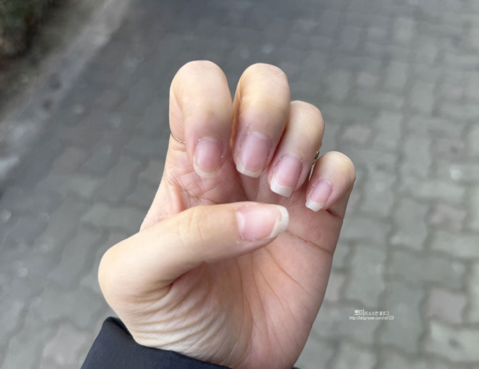 르미네일 이미지