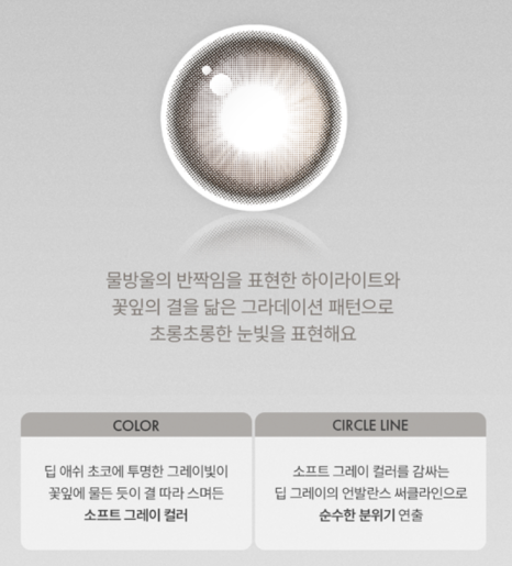 데이지데이 이미지