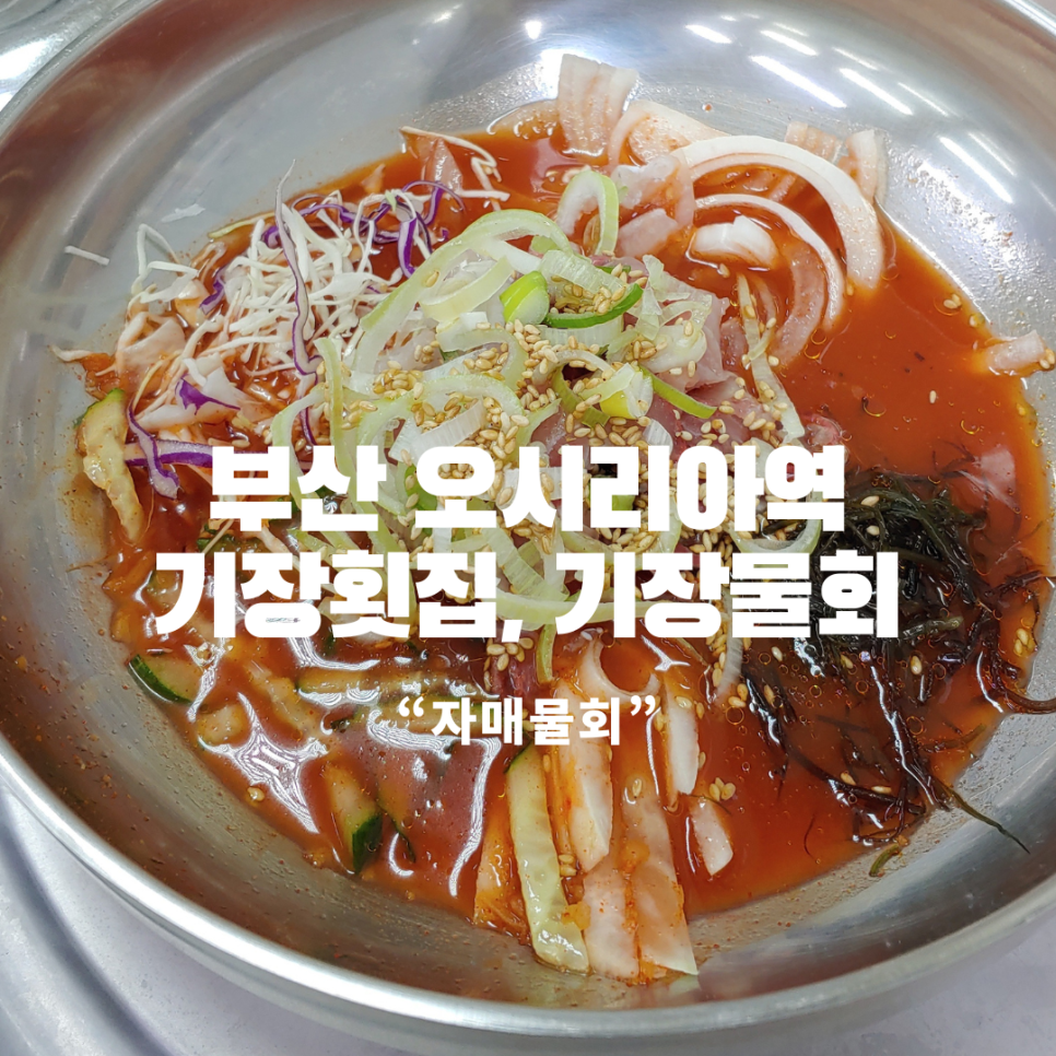 자매물회 이미지
