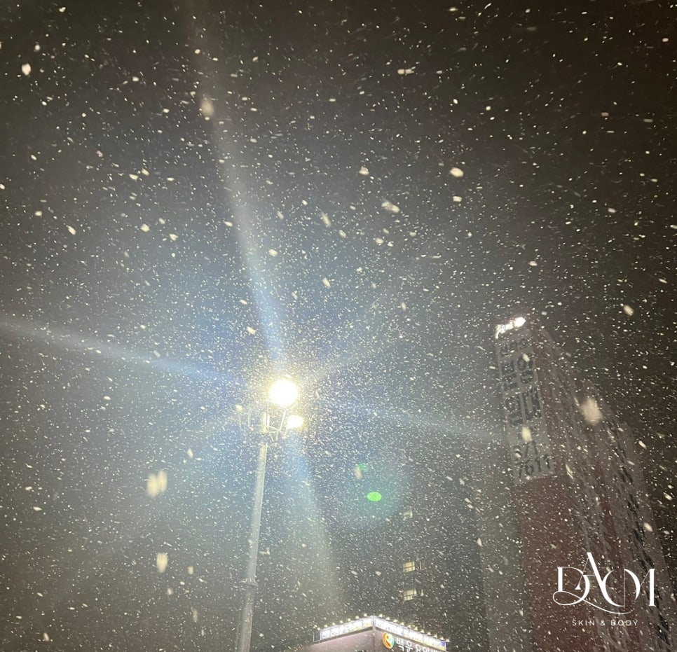 다옴뷰티 이미지