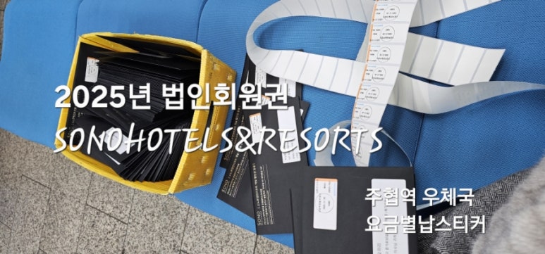 고양모터스 이미지