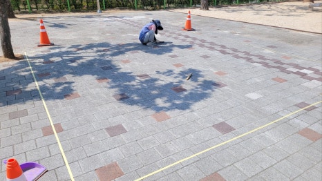 약동초등학교 이미지