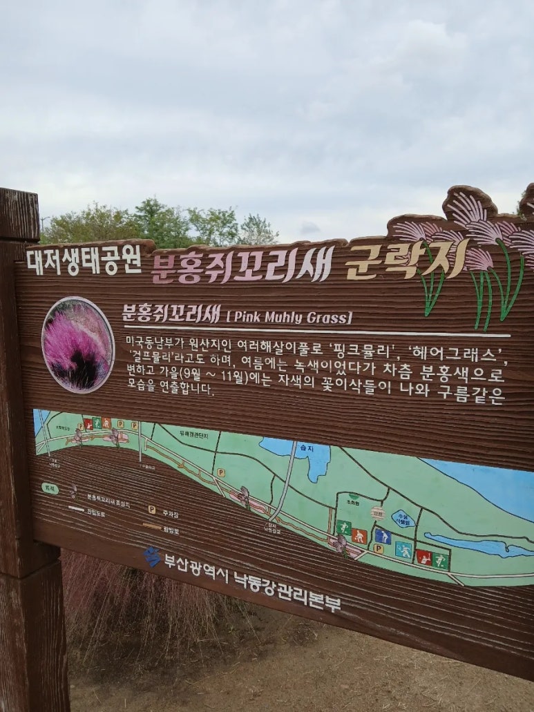 팜팜스 이미지