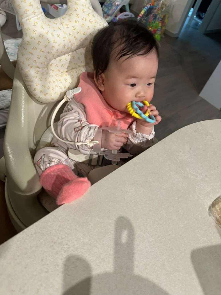 담별 이미지