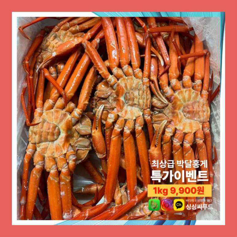 먹거리야식 이미지