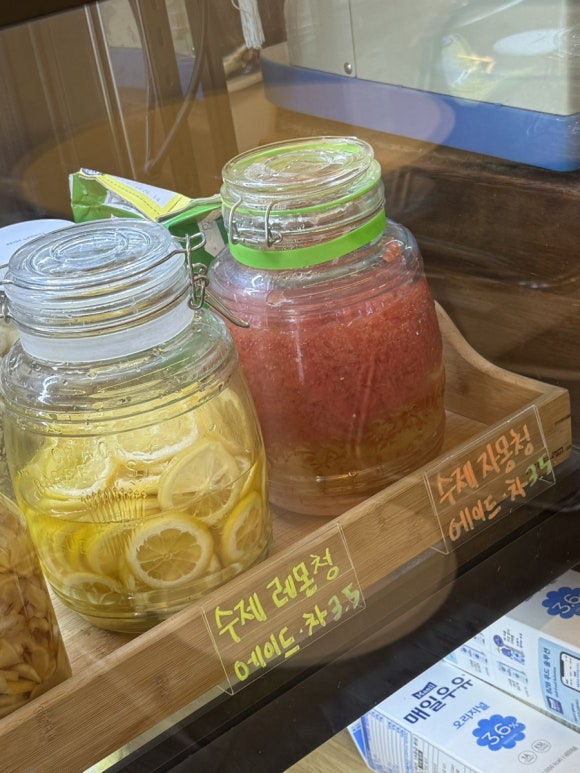 샌디담 이미지