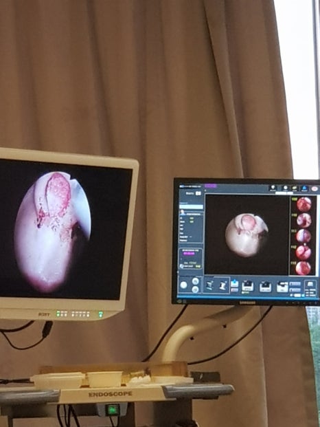 대정스폰지 이미지