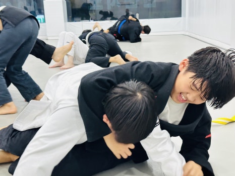 퍼팩트주짓수 이미지