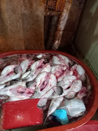 용원식당 이미지