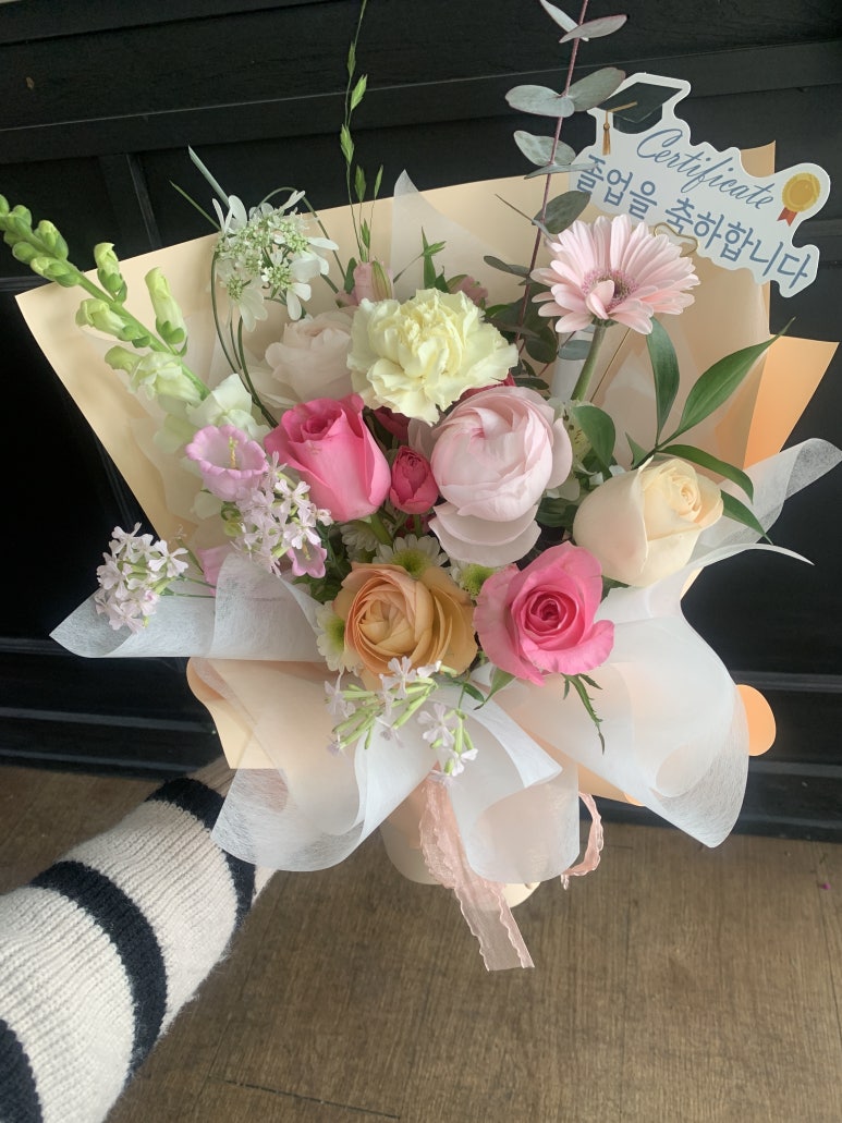 아레스&마셀 이미지
