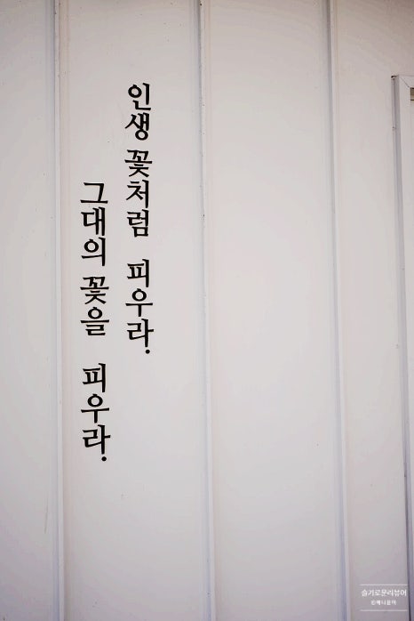 빛들케이크 이미지