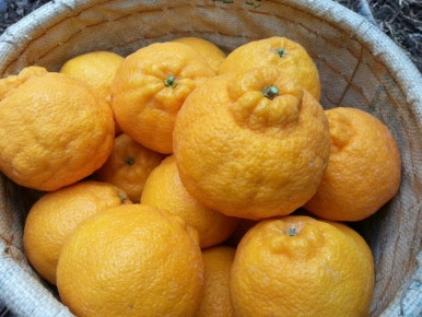 한라앤탐 이미지
