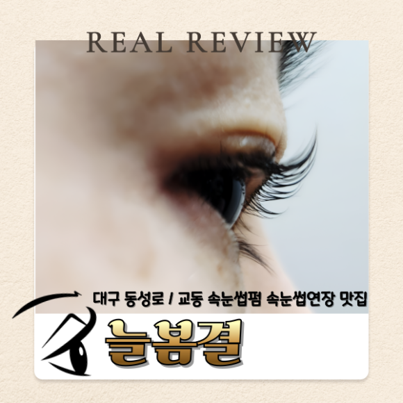 수련속눈썹 이미지