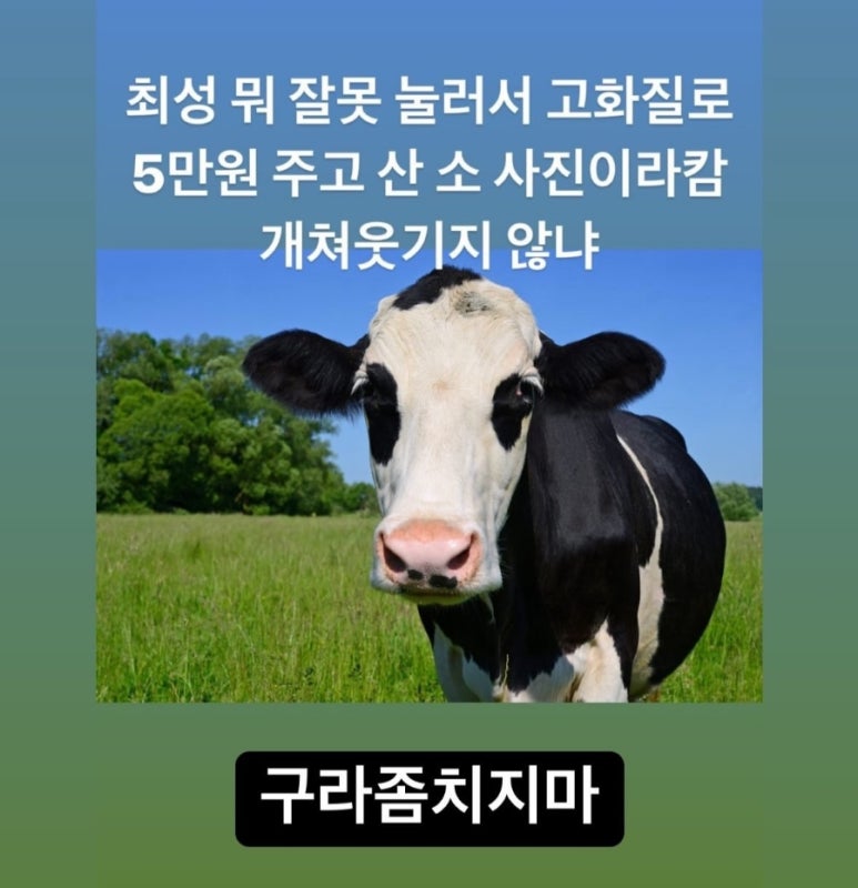 인생뽑기 이미지