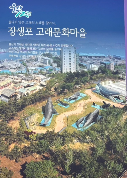 아나카페고래 이미지