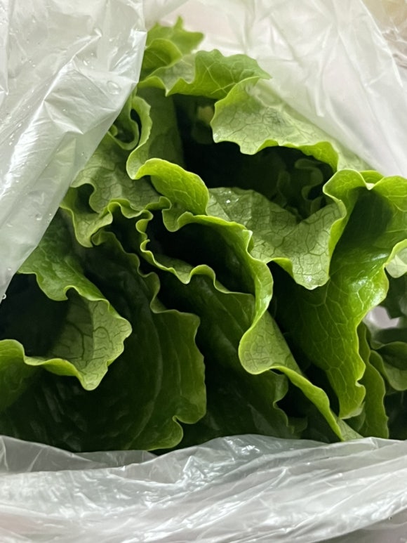 늘푸른수산 이미지