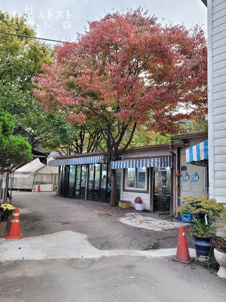 매봉산장 이미지
