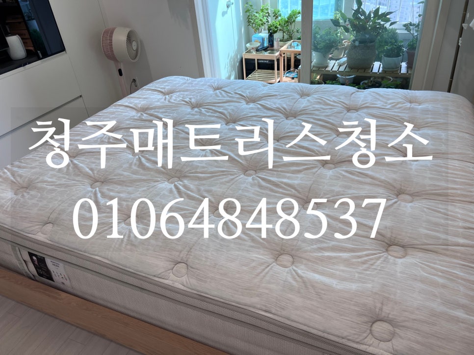 태경클린 이미지
