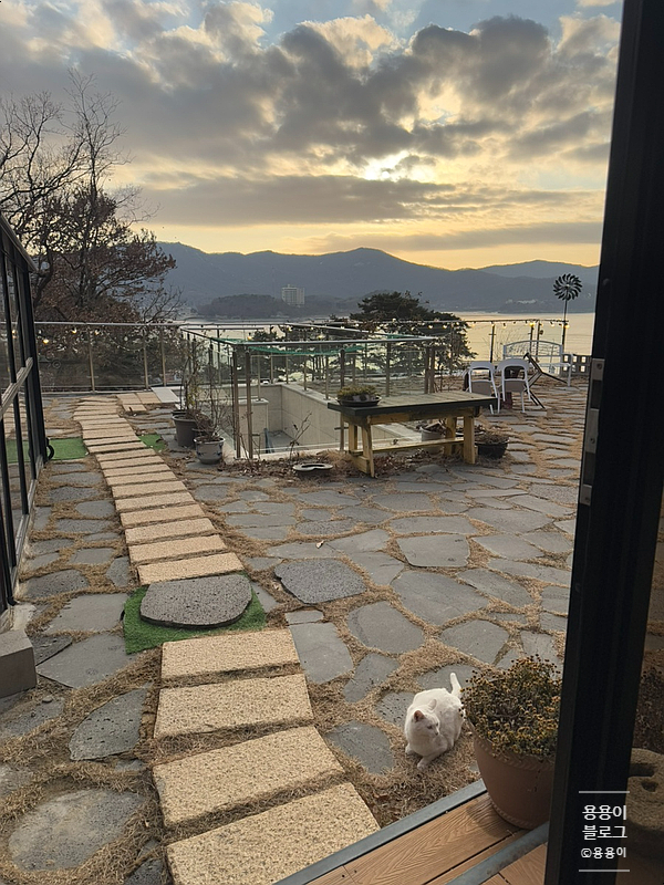 카페쿠나 이미지