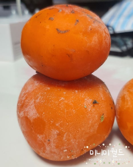 풀빛농원 이미지
