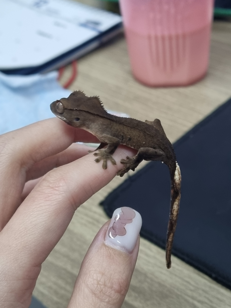 까만통 이미지
