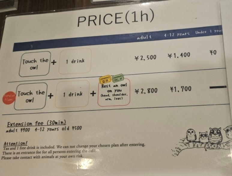 슈에뜨 이미지