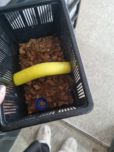 까만통 이미지