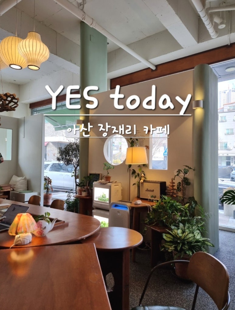 예스투데이 이미지