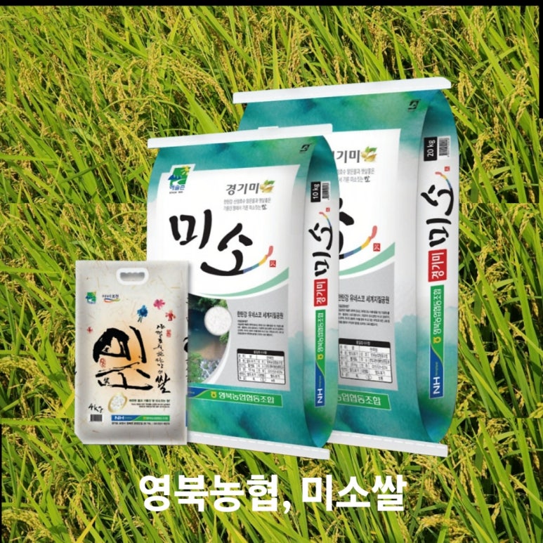 영북농협주유소 이미지