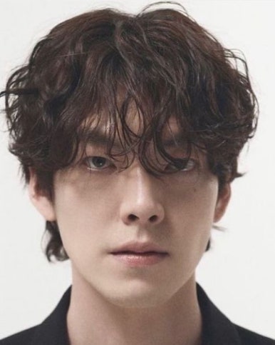 스테디헤어 이미지