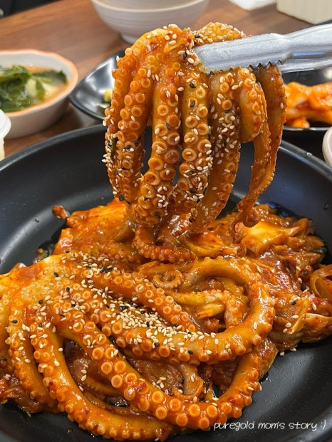 뻘건낙지 이미지