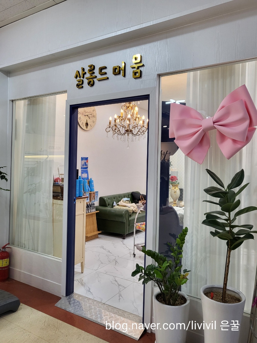 살롱드머뭄 이미지