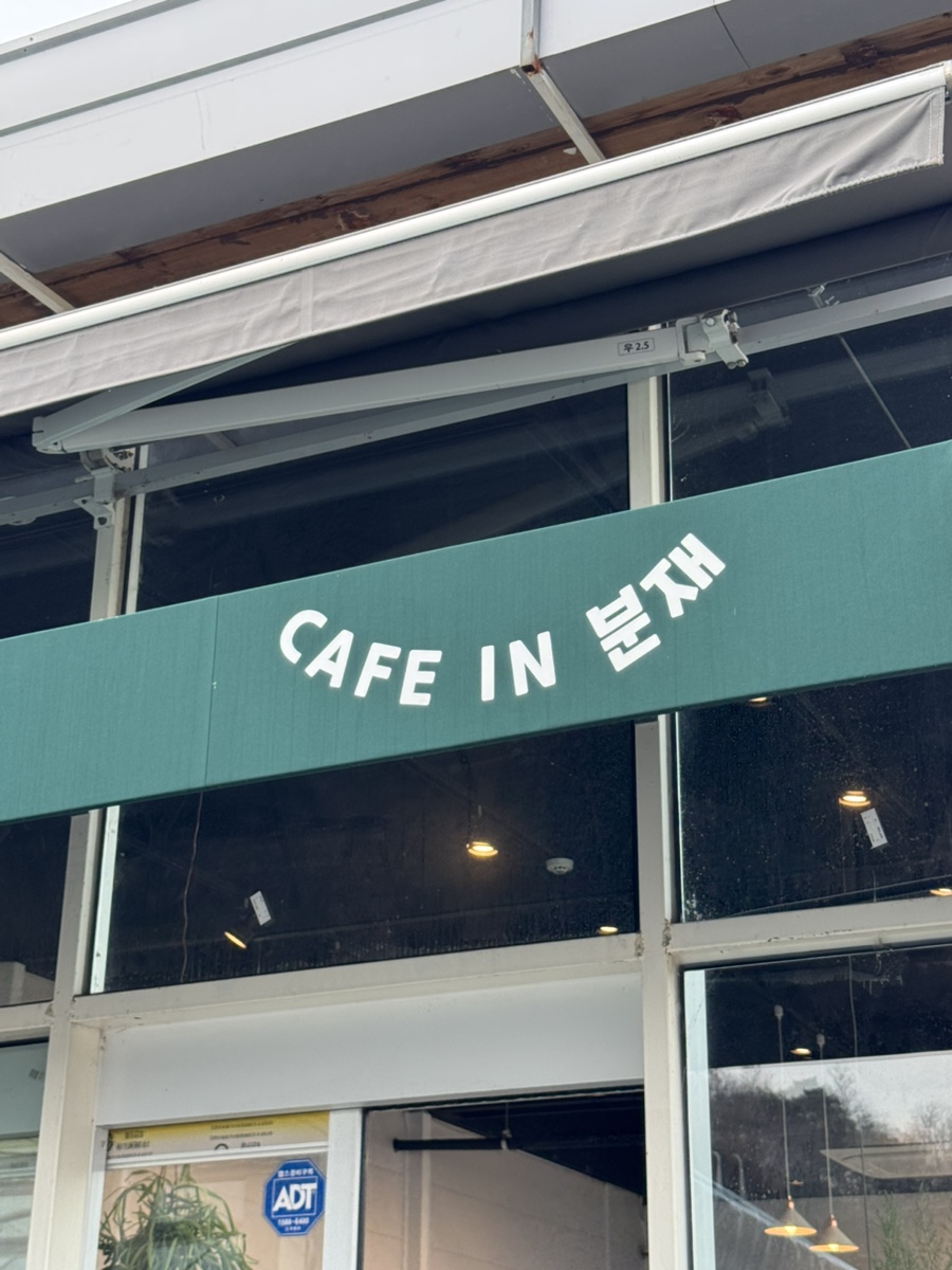카페인 분재 이미지
