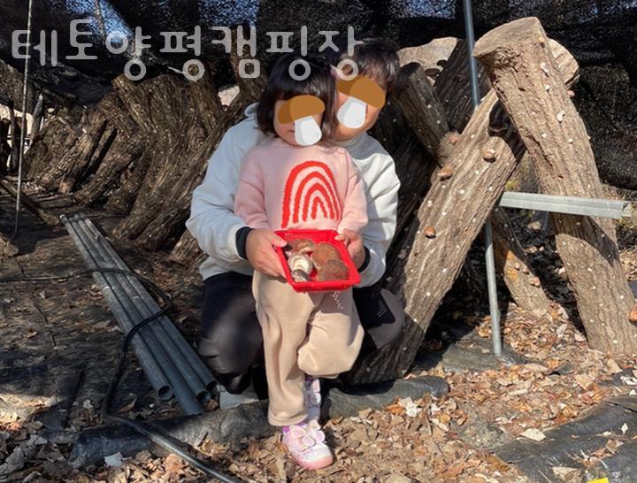 테토양평캠핑장 이미지
