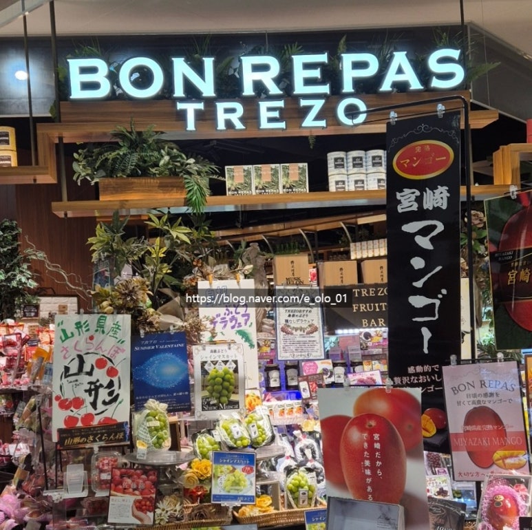본레져 이미지
