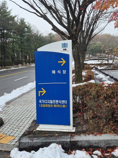딜라잇시즌 이미지