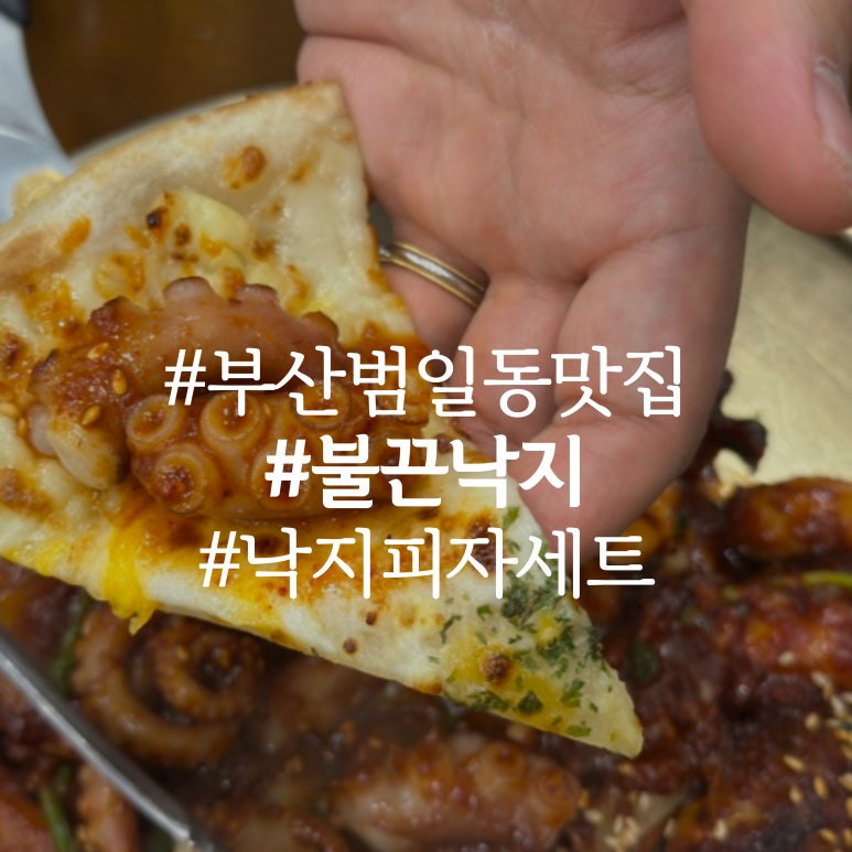 불끈낙지범일점 이미지