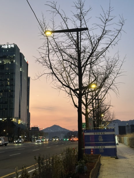 베이징코야주 이미지