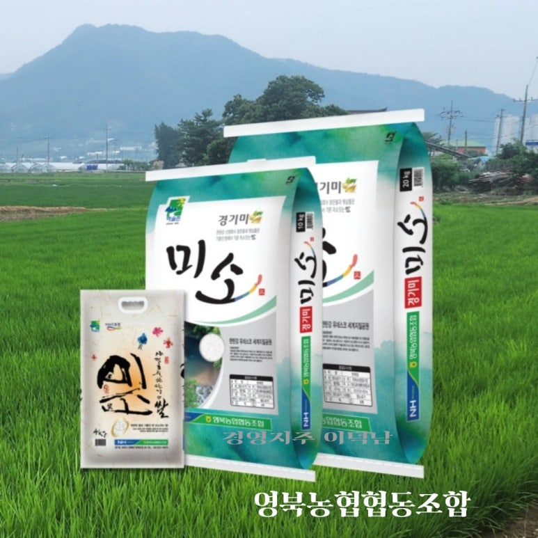 영북농협주유소 이미지