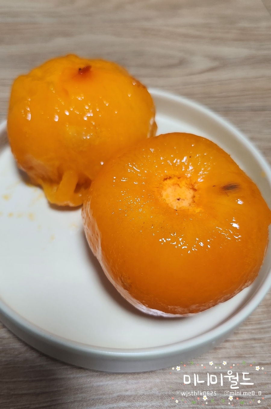 풀빛농원 이미지