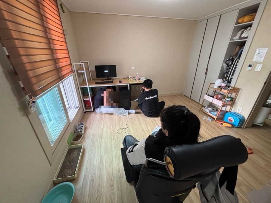 다솔컴퓨터 이미지