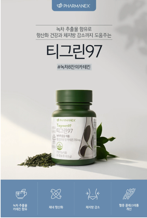티그린 이미지