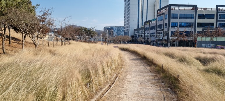 신서중앙공원 이미지