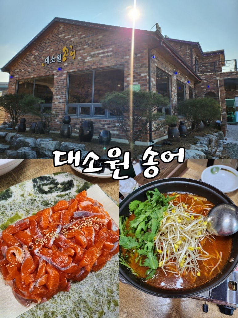 대소원송어 이미지