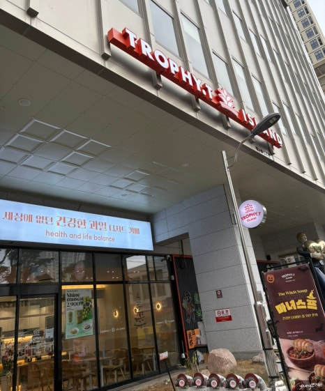 트로피티아일랜드대구 이미지