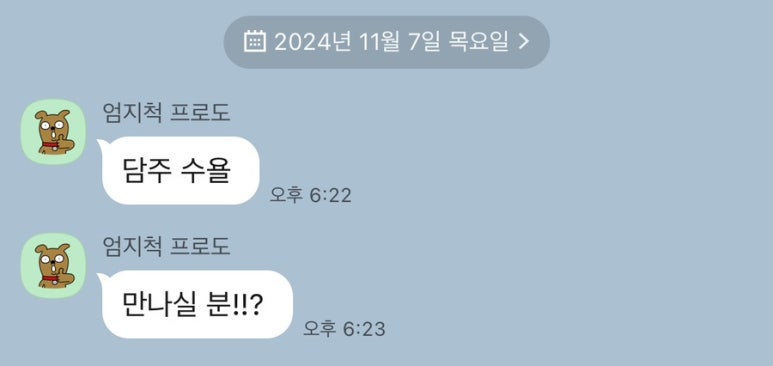 돼지나라갈매기꿈 이미지