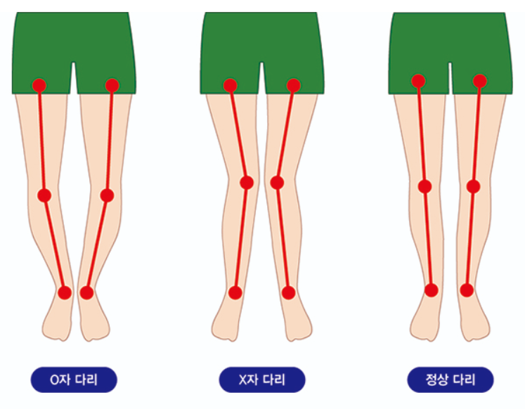 지오-디 이미지